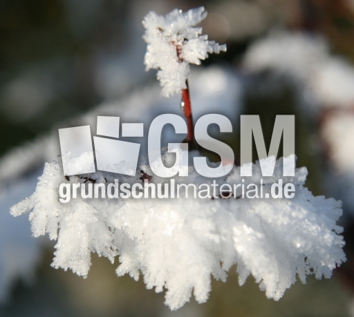 Winterimpressionen 049.jpg